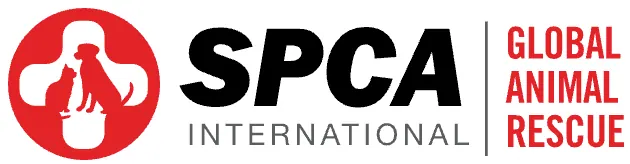 SPCAInternational, PAWsitive Recovery Program logo